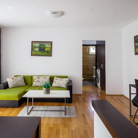 Apartament Family Rivulus 9 Baia Mare Exterior foto